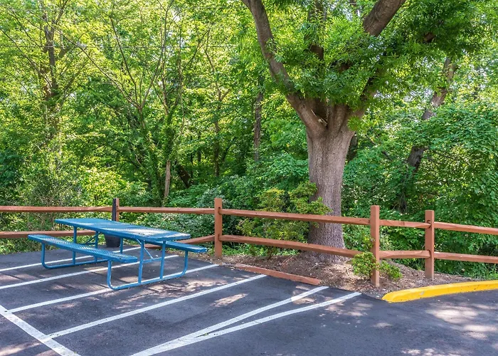 Comfort Inn Charlotte Airport Uptown